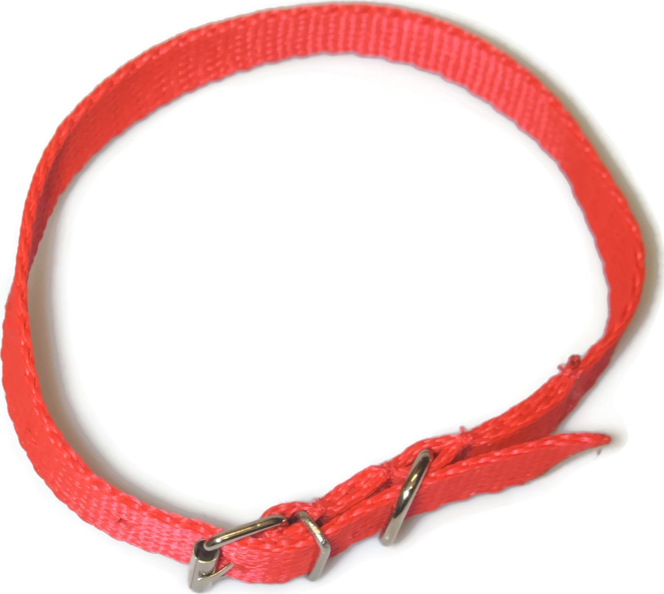 Alizoo Obroża dla średniego psa 16mm/30-41cm z metalową klamerką - ALIZOO