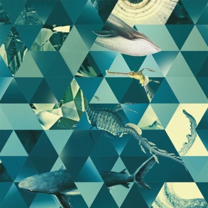 Museums & Galleries Karnet kwadrat z kopertą Sealife