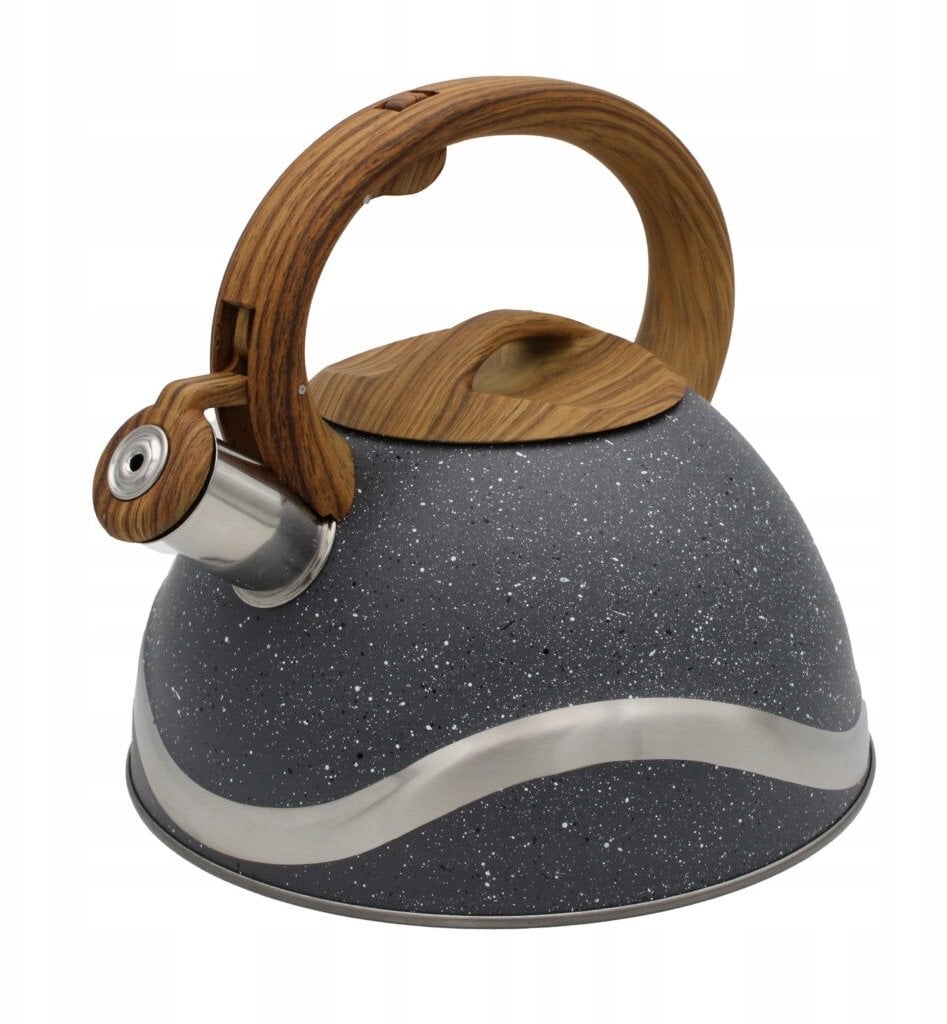 Brunbeste Czajnik stalowy czajnik z gwizdkiem tradycyjny na gaz indukcyjny szary 3L BB-2277