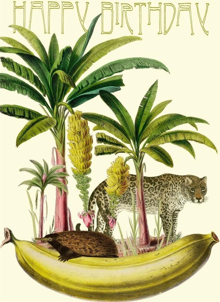 Madame Treacle Karnet B6 z kopertą Urodziny Banan