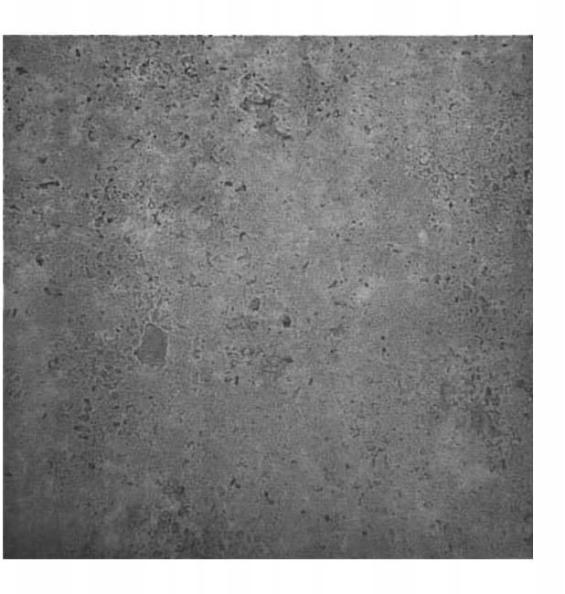 Panele ścienne dekoracyjne 50x50 cm opakowanie 8 sztuk grafitowe