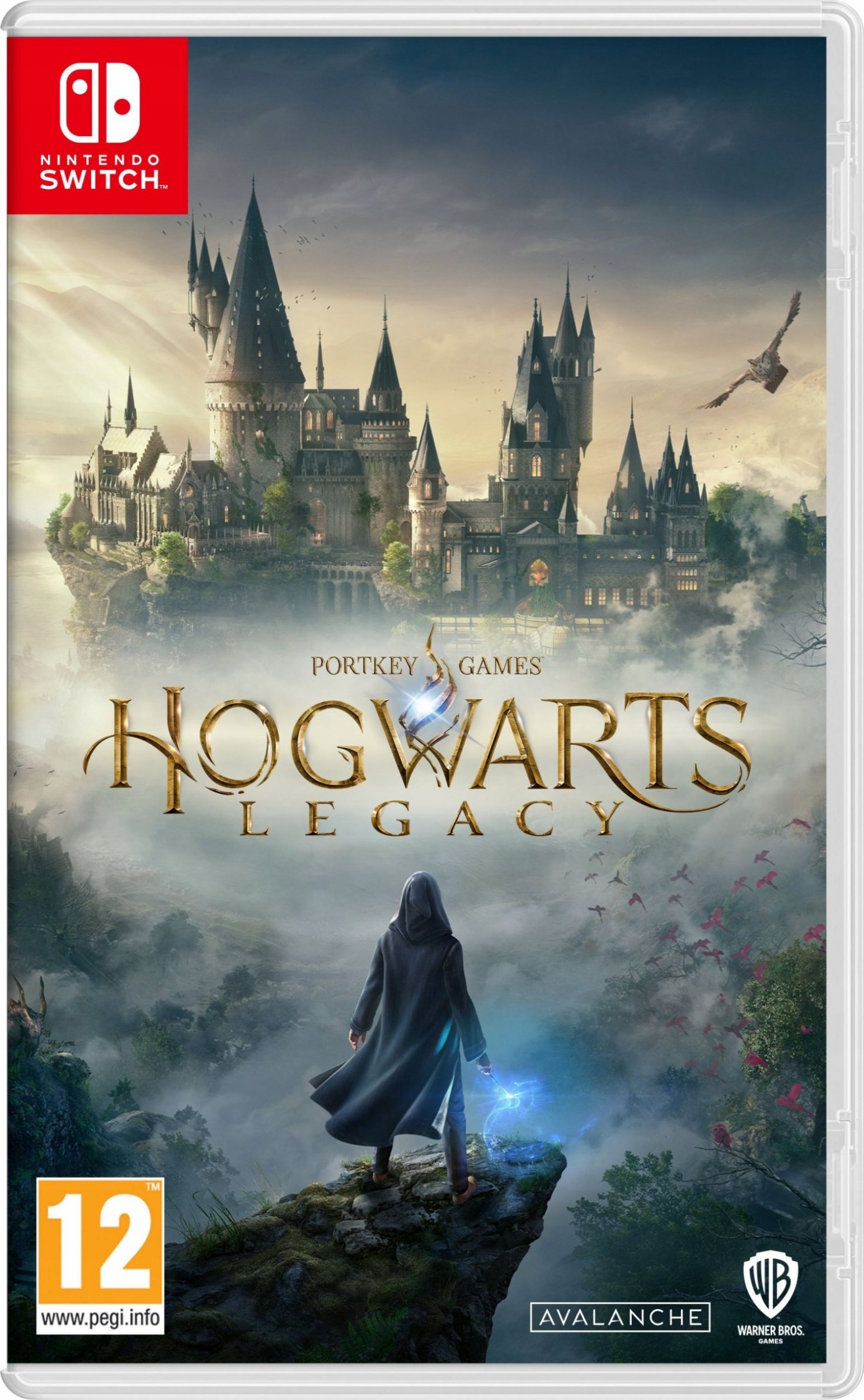 Hogwarts Legacy Switch