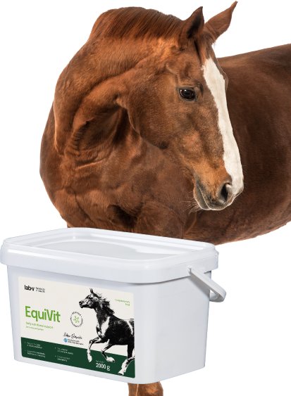 EquiVit Mieszanka paszowa dietetyczna dla koni i kucyków wspierająca odporność, układ kostno-stawowy oraz prawidłową przemianę meteboliczną 2000 g