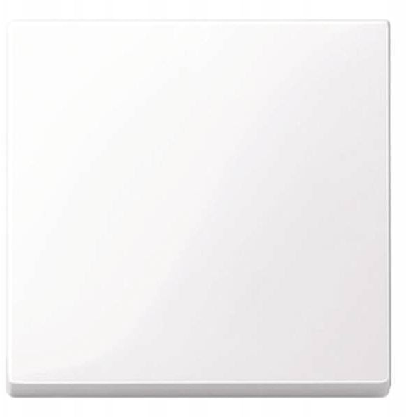 Merten 432125 ramka do gniazd i wyłączników Biały