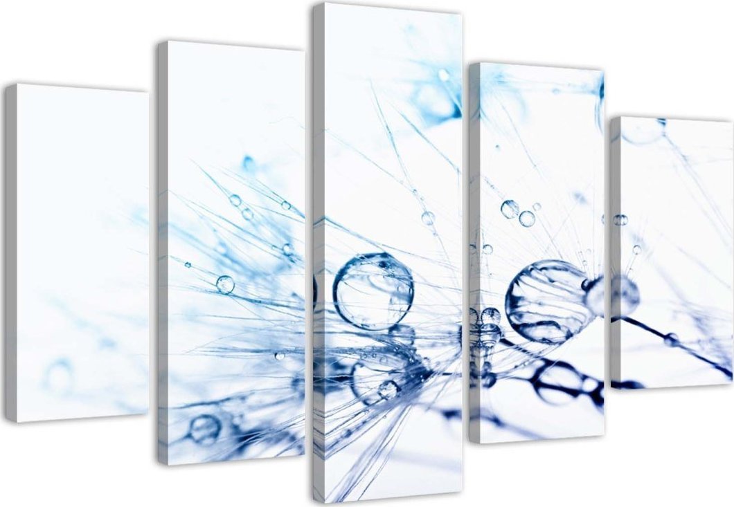 Feeby Obraz pięcioczęściowy na płótnie, Krople wody na dmuchawcu - 100x70