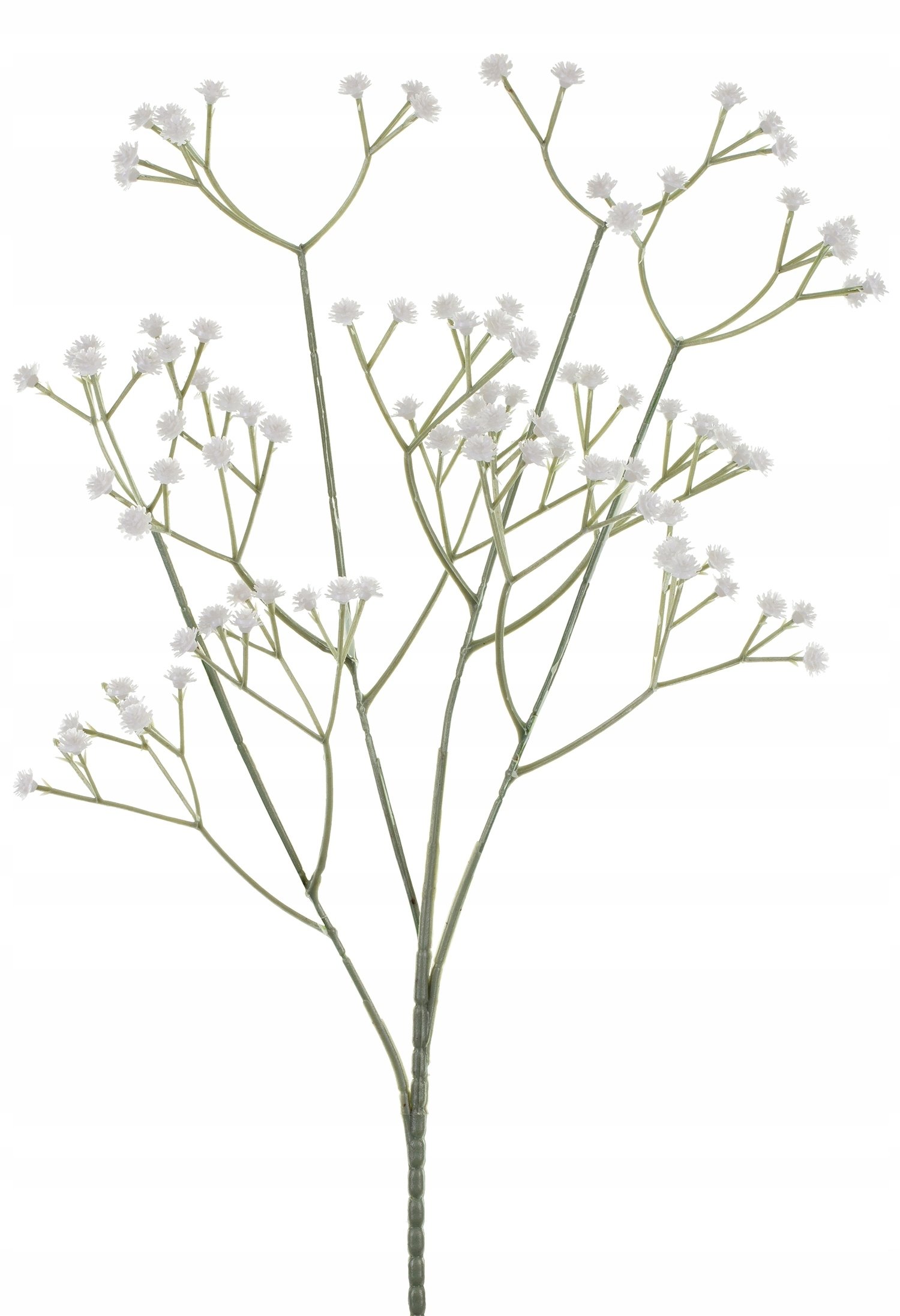 Gipsówka biała 62cm