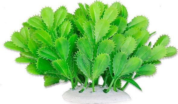 Happet HAPPET ROŚLINA FOLIA 10CM / 1F10