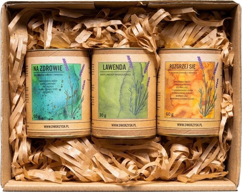 Dworzysk Dworzysk - Zdrowy Dzień - Zestaw