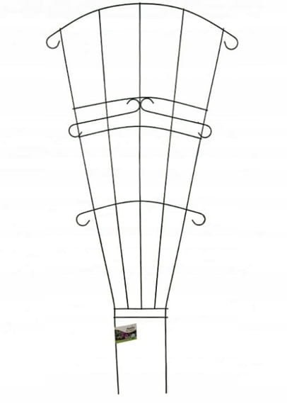 Podpora wachlarzowa do roślin pnących 150 cm Ozdobna i funkcjonalna