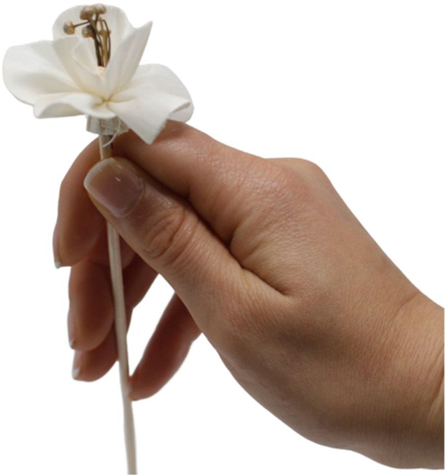 Naturalny dyfuzor kwiatowy - Lilia na trzcinie