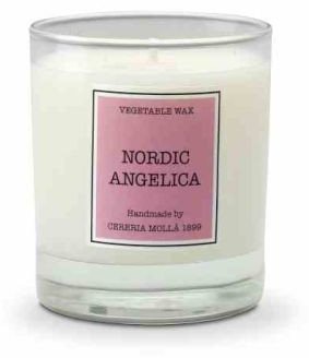 Świeca Santiago 230gr. Nordic angelica / Cereria Molla