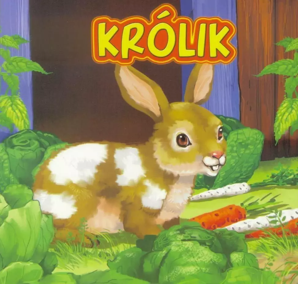 Jafi Książka Królik JAFI