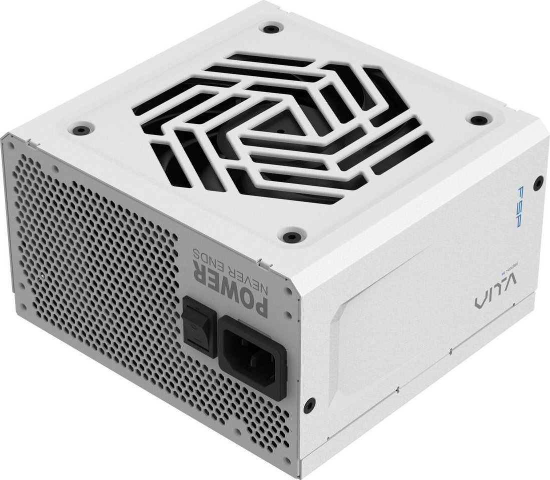 FSP Netzteil VITA 850 GM W 85+G 850W F-Mod. White ATX/GEN retail