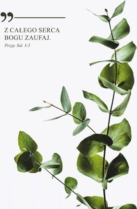 Koinonia Kartka - Z całego serca Bogu zaufaj - gałązka