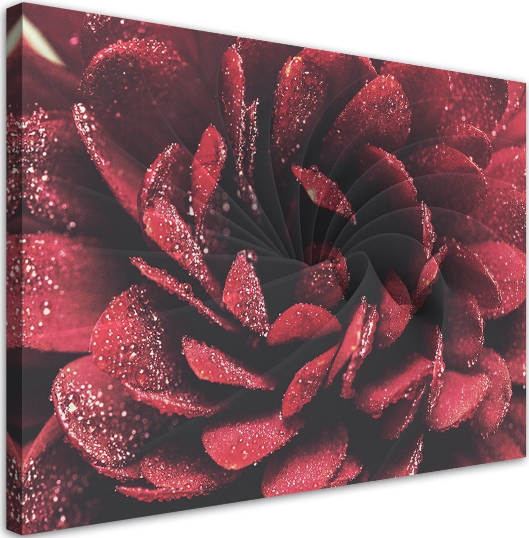 Feeby Obraz na płótnie, Kwiat w skali makro - 120x80