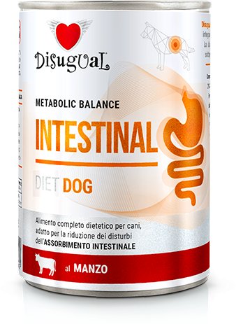 4Vets Karma mokra dla psa Weterynaryjna INTESTINAL Wołowina (dorosły) 400g