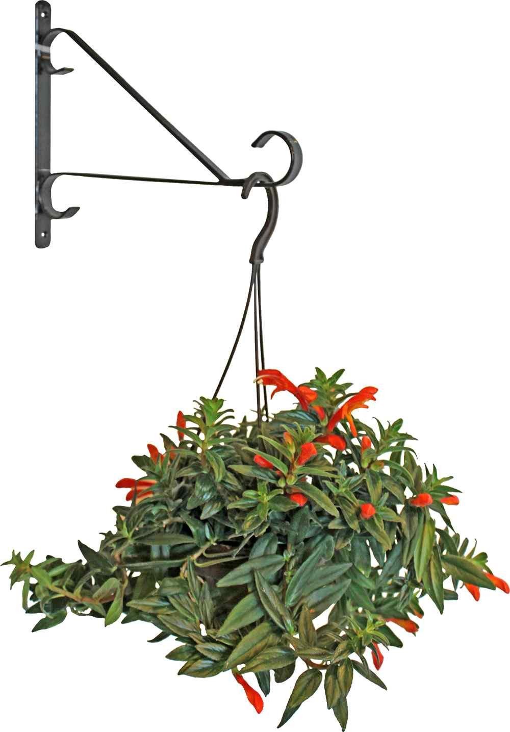 BESK Puku poda turetajs sienas metala 30.5cm