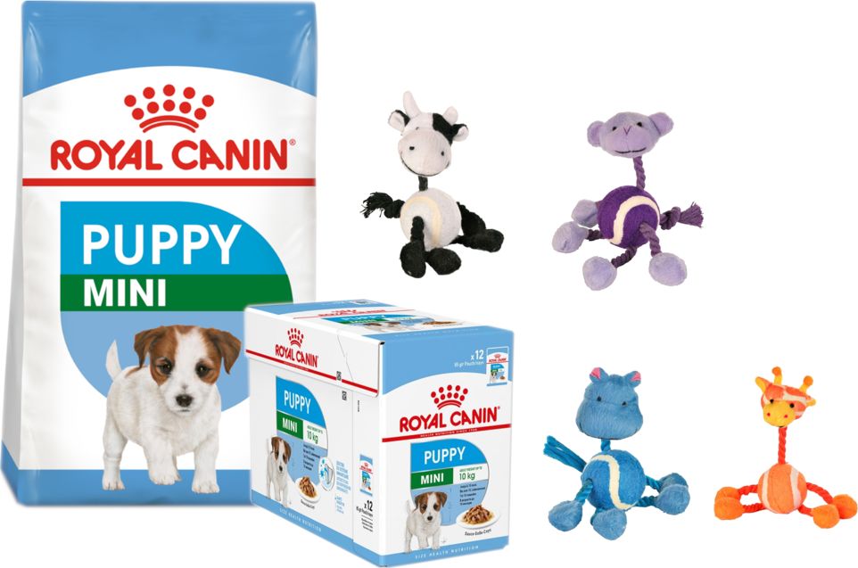 Royal Canin ROYAL CANIN Mini Puppy 800g + ROYAL CANIN Mini Puppy 12x85g + TRIXIE Zabawka z piłką i sznurkami w formie zwierzątek - 16cm
