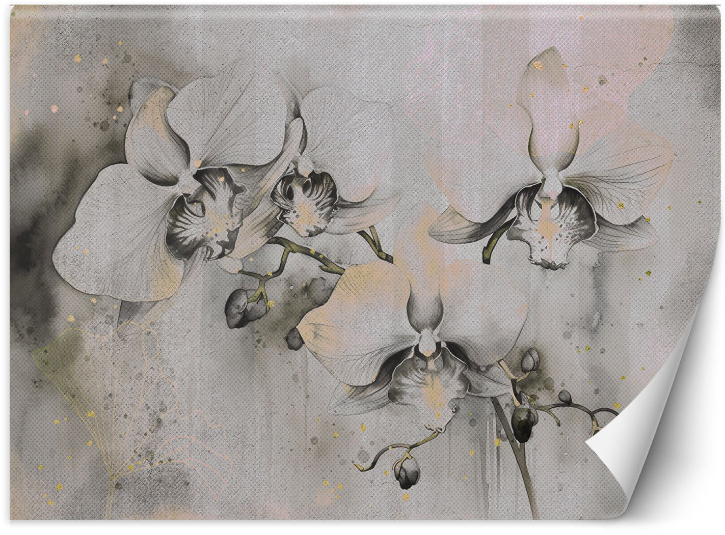 Feeby Fototapeta Kwitnące orchidee abstrakcja 250x175 medium