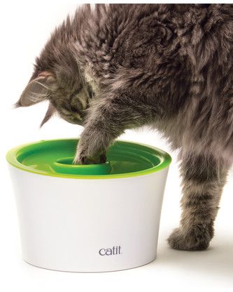 Hagen Miska Na Pokarm Dla Kota Catit