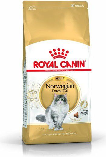 Royal Canin Norwegian Adult 2 kg