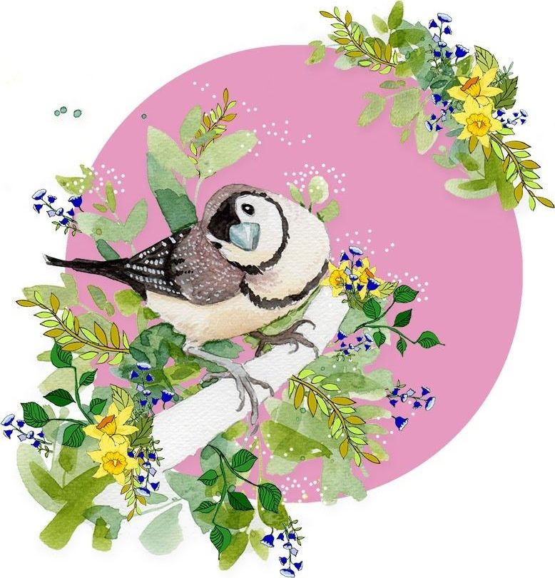 Clear Creation Karnet Swarovski kwadrat CL2010 Ptaszek