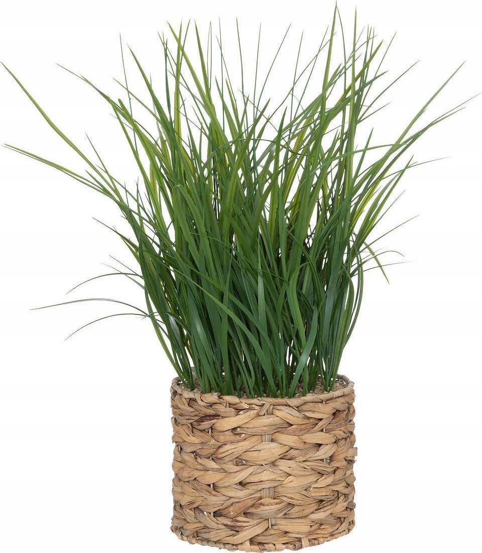 Atmosphera Sztuczna trawa w doniczce z hiacyntu wodnego, wys. 70 cm