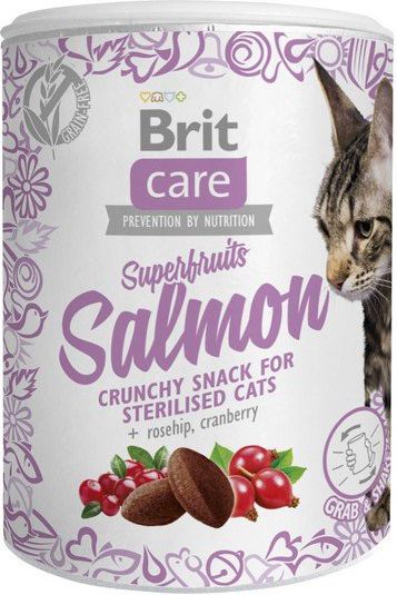 Brit Care Cat Snack Superfruits Salmon 100g