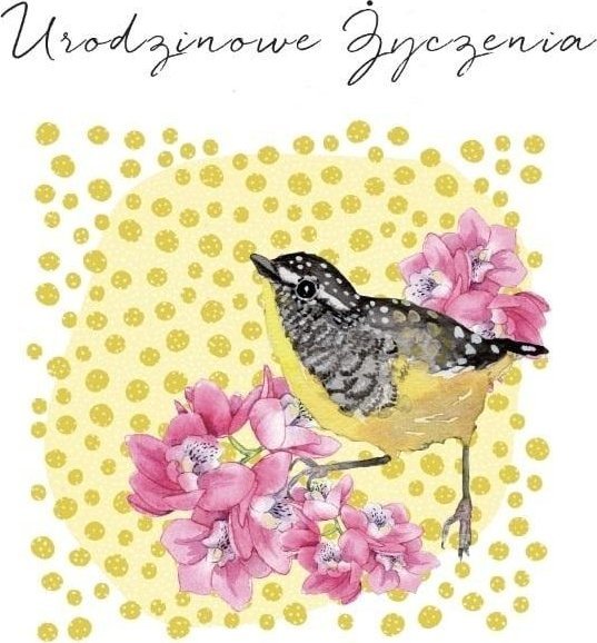 Karnet Swarovski kwadrat CL4502_PO Urodzinowe życz