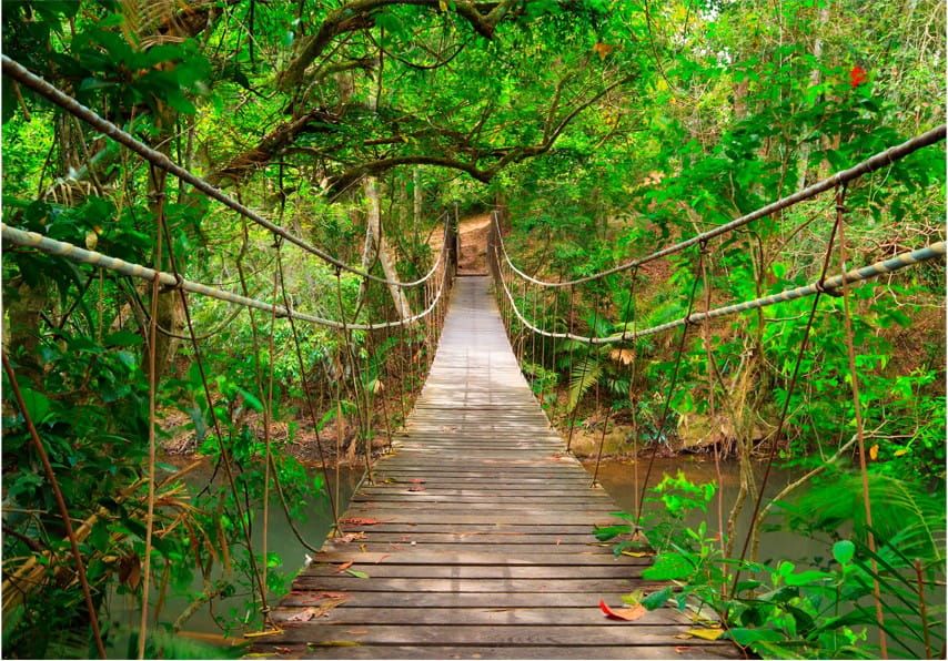 DecoNest Fototapeta - Most pośród zieleni - 200X140