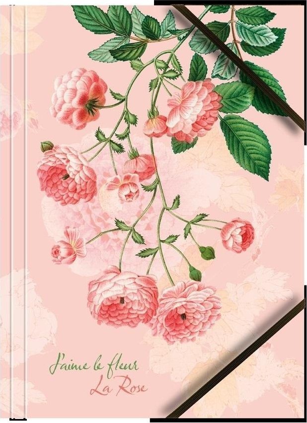 Teczka A4 kartonowa z gumką narożną róże (6szt)