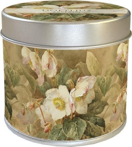 Skona Ting Zapachowa świeczka 203 - ciemiernik zapach jabłko