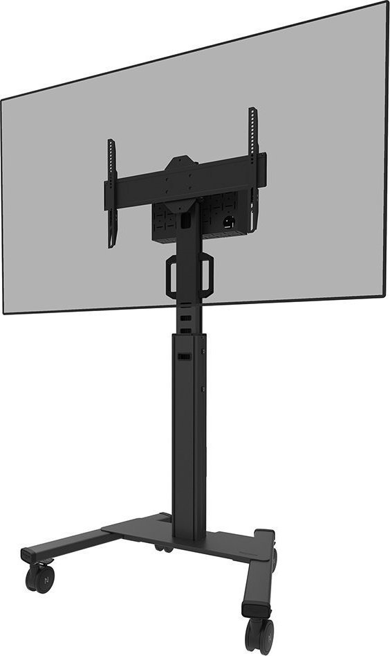 Neomounts Stojak podłogowy na monitor 37" - 75" (FL50S-825BL1)