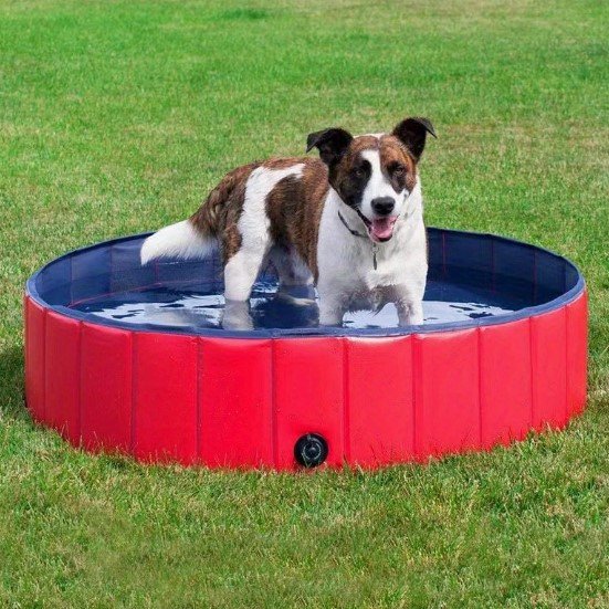 Basen dla psa, 80x20cm czerwony