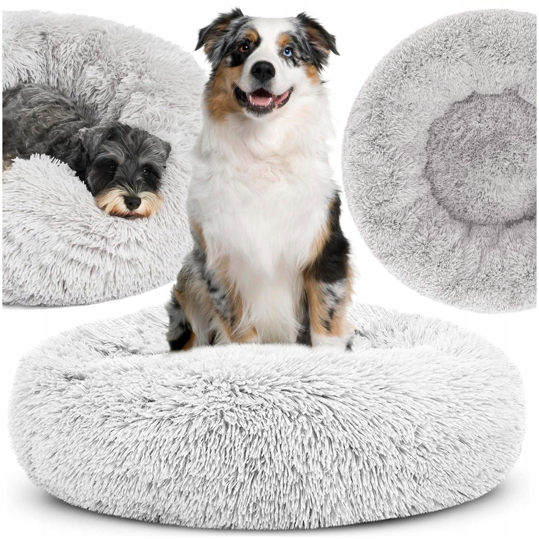 ZW8F LEGOWISKO DLA PSA KOTA PLUSZOWE 60