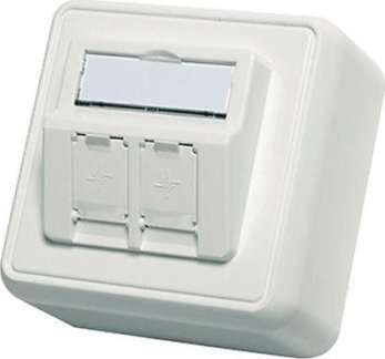 Telegärtner Telegärtner Datendose, unbestückt, 2-fach, Aufputz, alpinweiß - H02000A0092