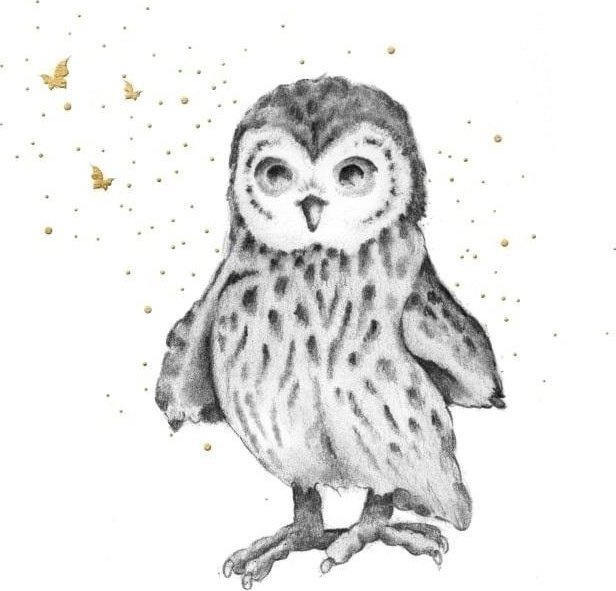 Karnet złocony kwadrat CL3822_BL Sowa