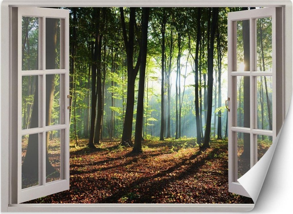 Feeby Fototapeta, Okno las drzewa natura - 140x100