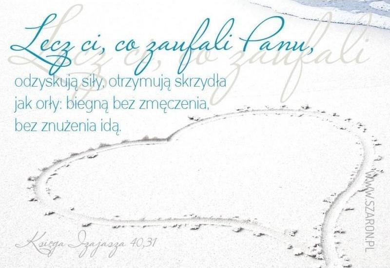 Szaron Magnes na lodówkę - Lecz ci co zaufali