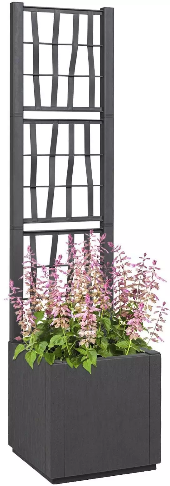 vidaXL Ciemnoszara Donica Ogrodowa z kratką - 36x36x140 cm