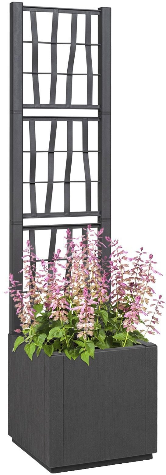 vidaXL Ciemnoszara Donica Ogrodowa z kratką - 36x36x140 cm