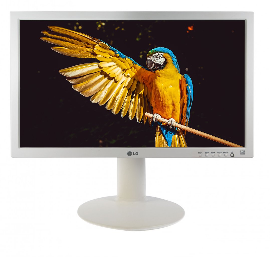 LG 24MB35PM-W z głośnikami / biały