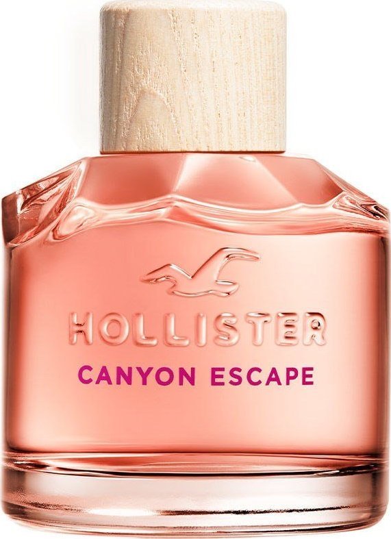 Hollister Canyon Escape EDP 100 ml