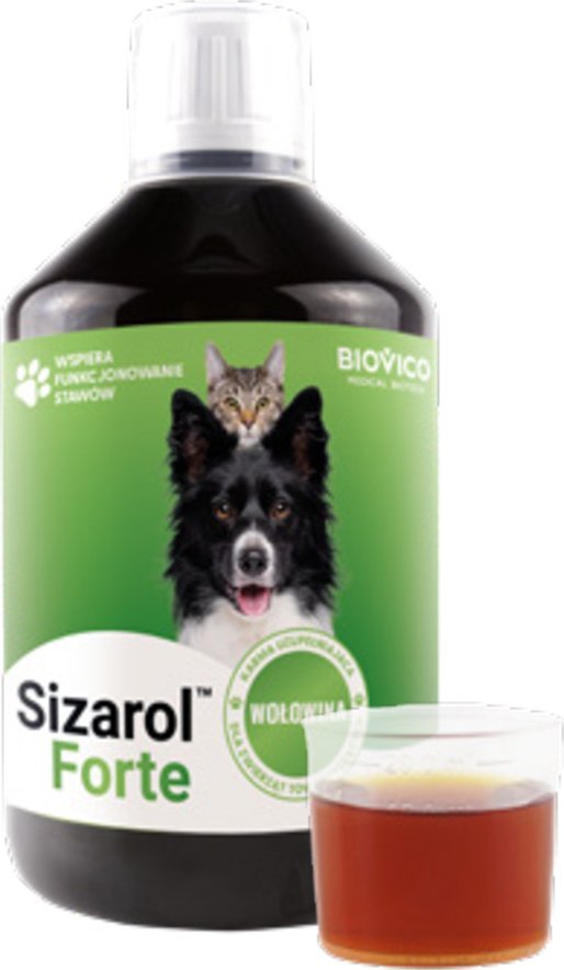 Triton BIOVICO Sizarol Forte 250 ml