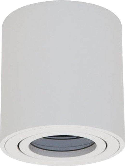 Lampa sufitowa ECOLIGHT2 Eco Light EC79956 plafon lampa sufitowa spot tuba 1x35W GU10 biały