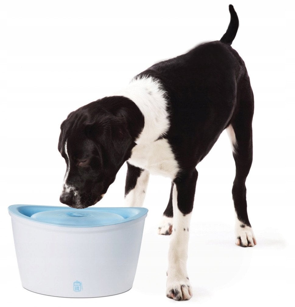 Hagen HAG.POJNIK FONTANNA D/PSA 6L 91400 - 64030