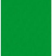 Polsirhurt Filc dekoracyjny zielony 20x30 10szt.