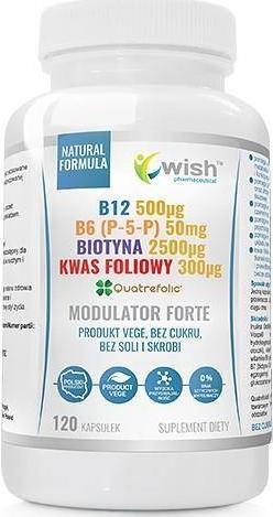 WISH Wish Modulator Forte B12 B6 Biotyna Kwas Foliowy