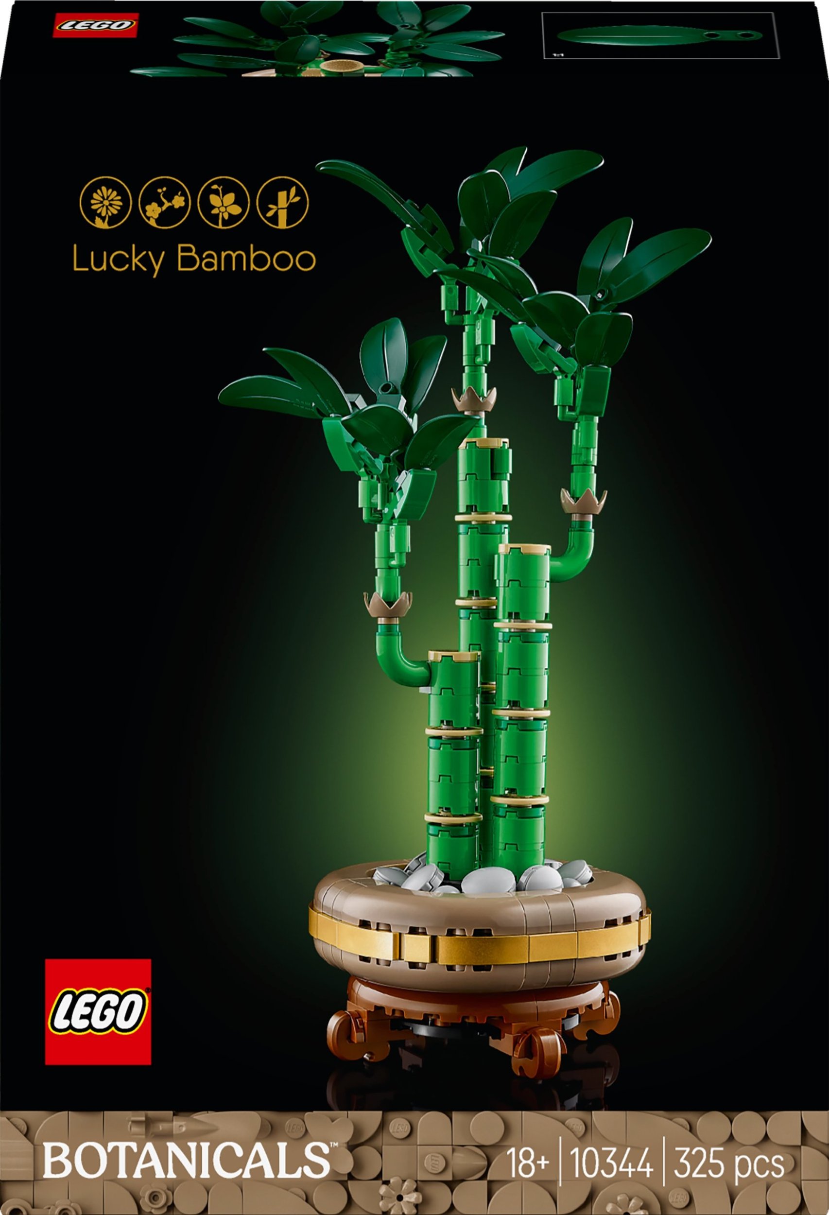 LEGO Botanicals Dracena sandera (10344)