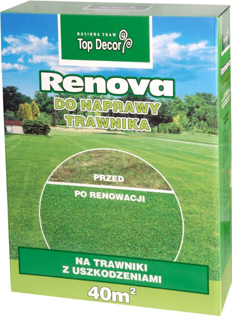 Top Decor Trawa Renova mieszanka renowacyjna 1kg (TD9615)